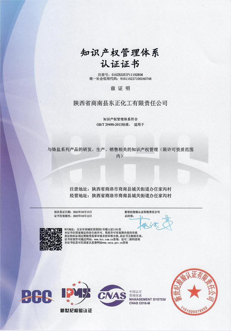 知识产权.jpg